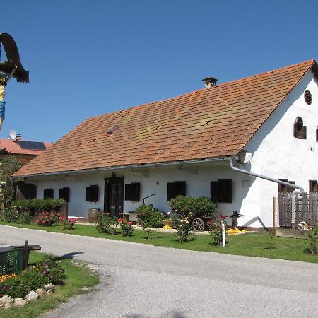 Homestay Kapl Ledinek Εξωτερικό φωτογραφία
