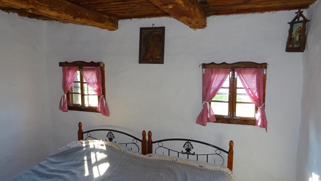 Homestay Kapl Ledinek Εξωτερικό φωτογραφία