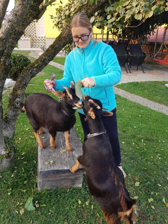 Homestay Kapl Ledinek Εξωτερικό φωτογραφία
