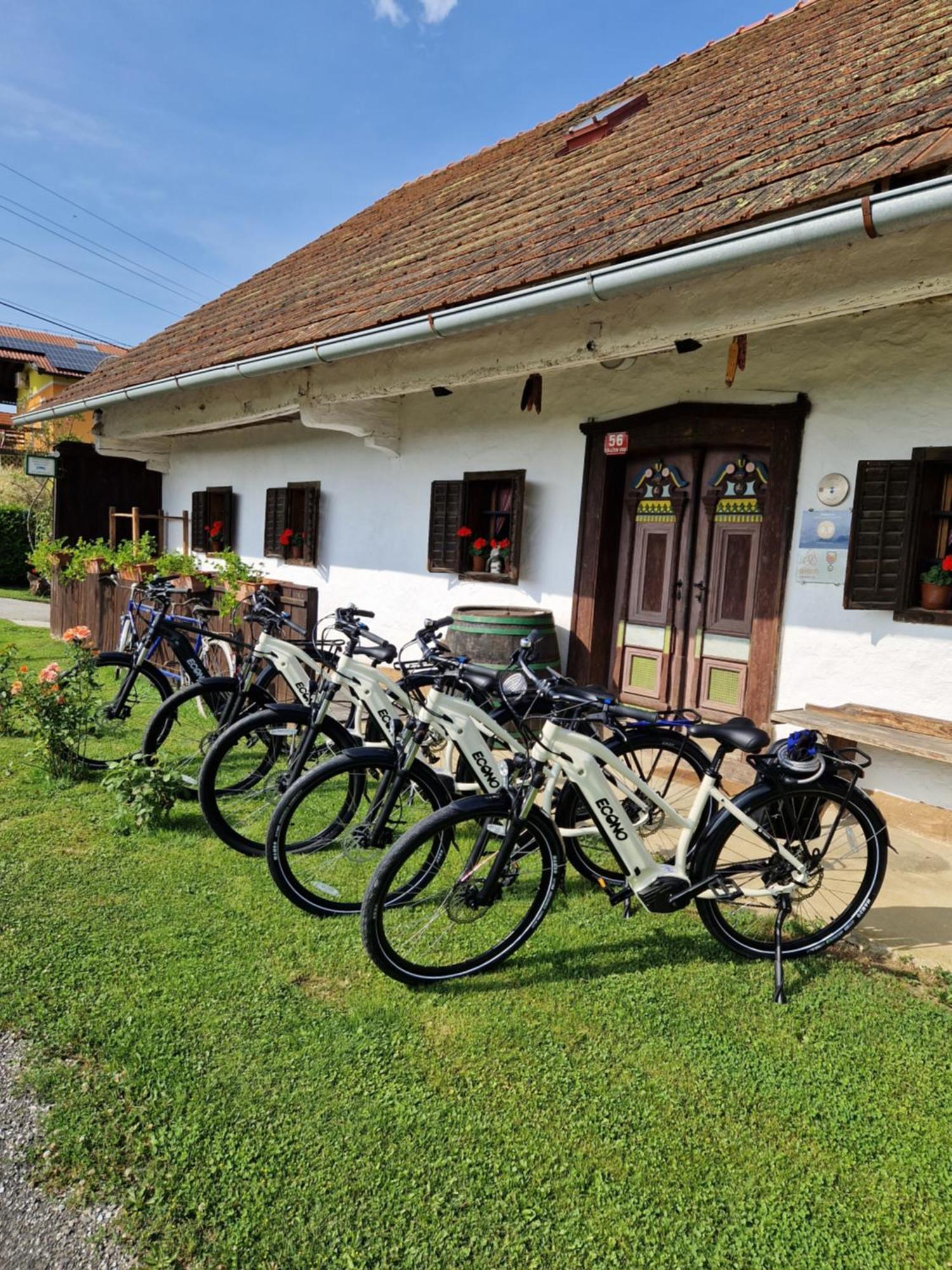Homestay Kapl Ledinek Εξωτερικό φωτογραφία