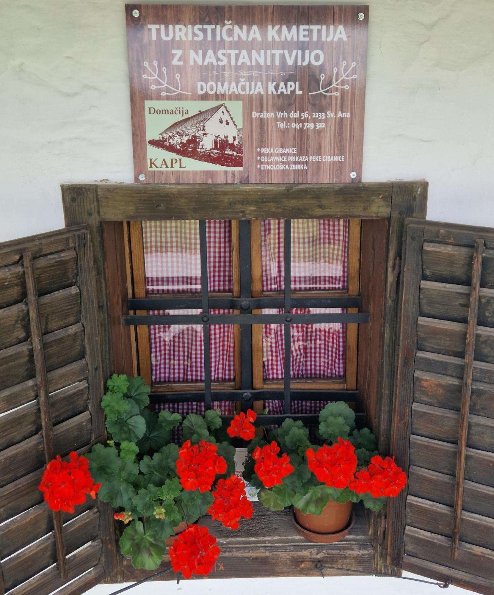 Homestay Kapl Ledinek Εξωτερικό φωτογραφία