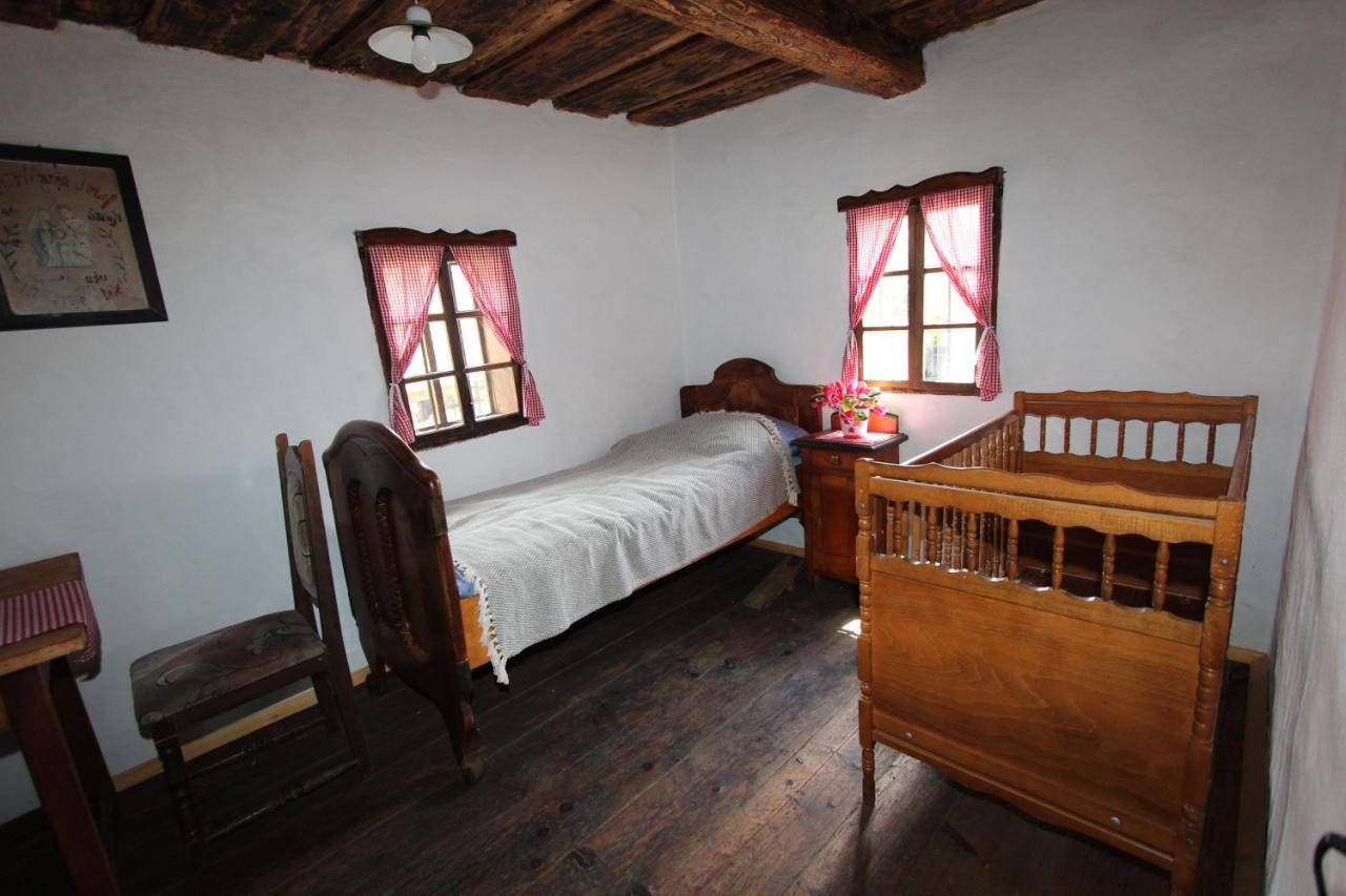 Homestay Kapl Ledinek Εξωτερικό φωτογραφία