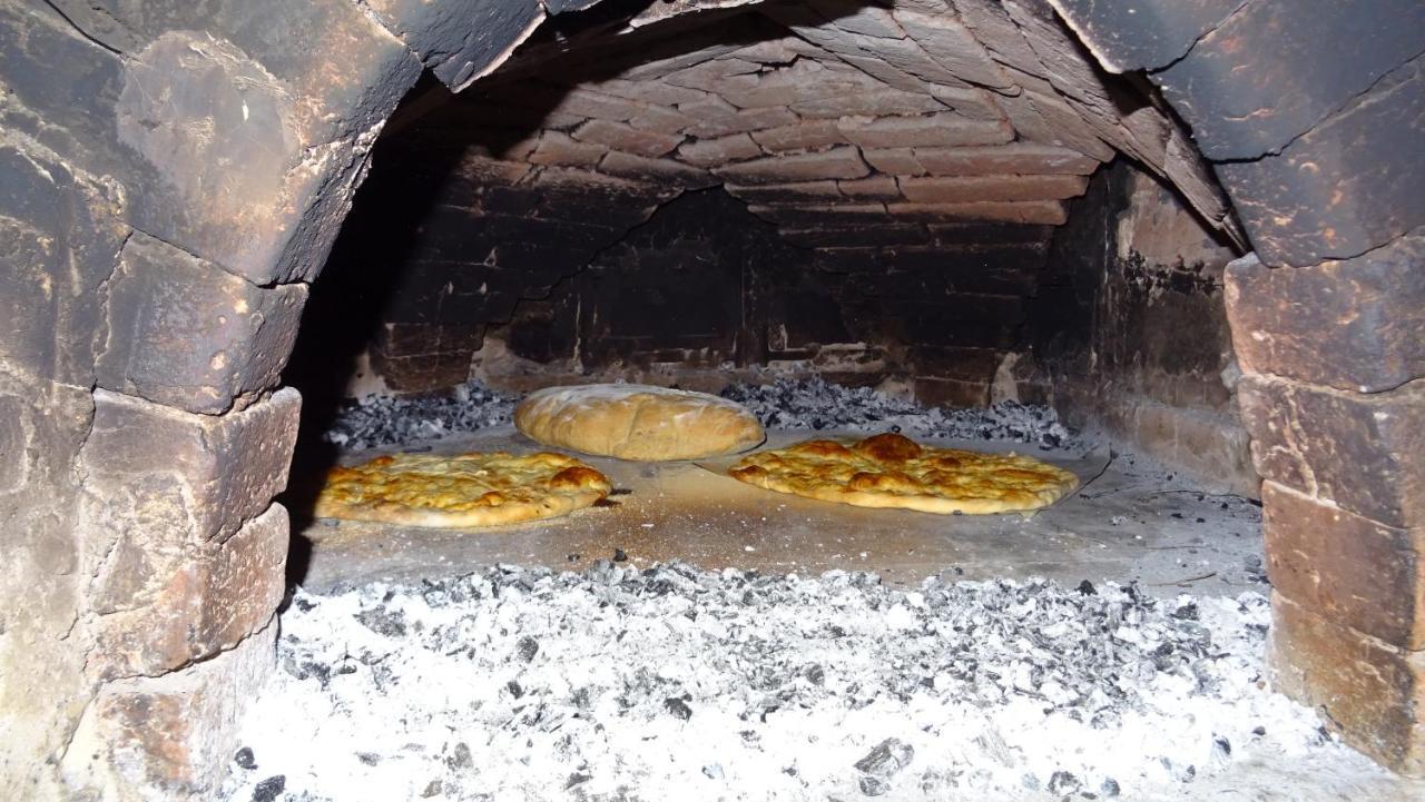 Homestay Kapl Ledinek Εξωτερικό φωτογραφία