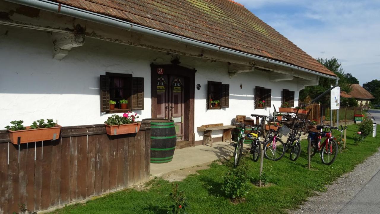 Homestay Kapl Ledinek Εξωτερικό φωτογραφία