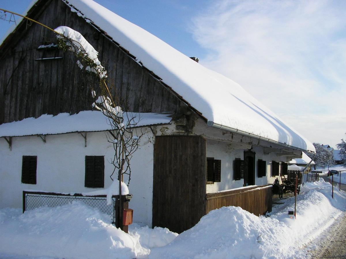 Homestay Kapl Ledinek Εξωτερικό φωτογραφία