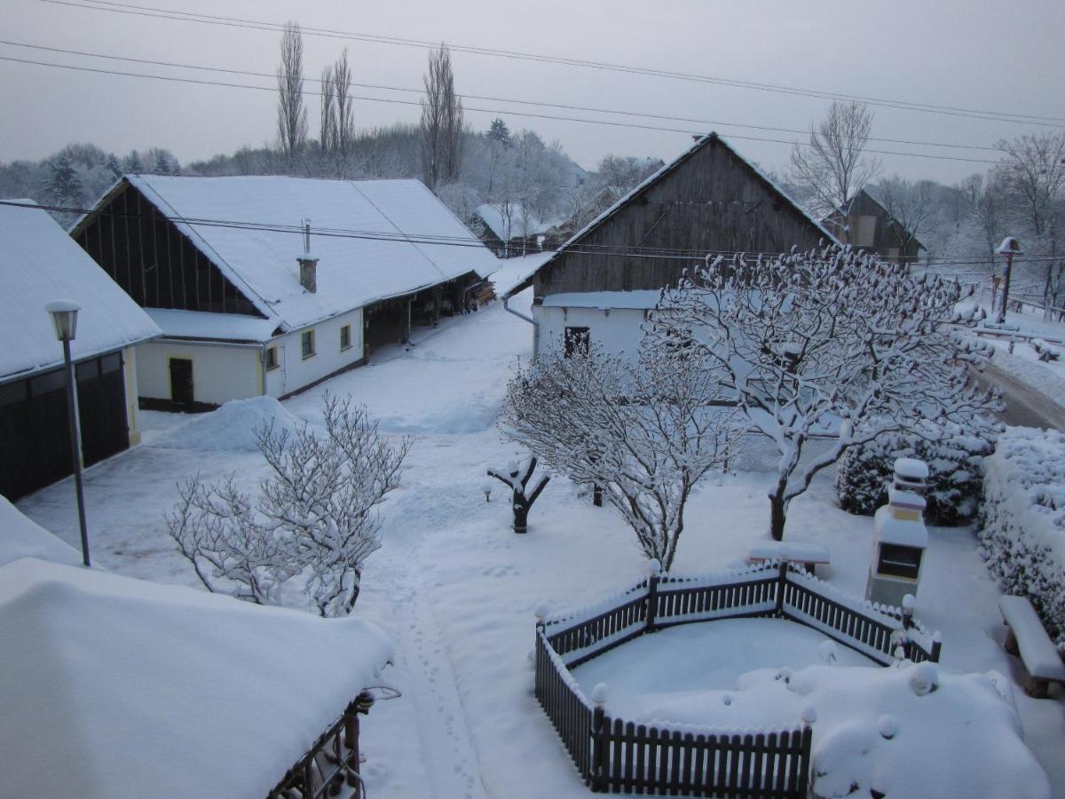 Homestay Kapl Ledinek Εξωτερικό φωτογραφία